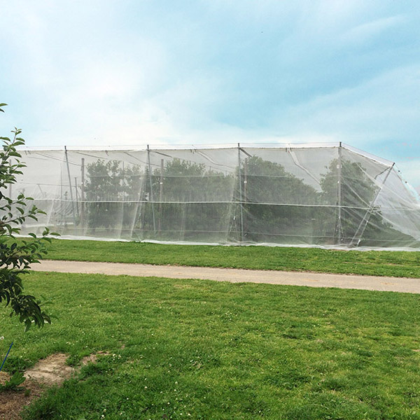 horticulture insect netting