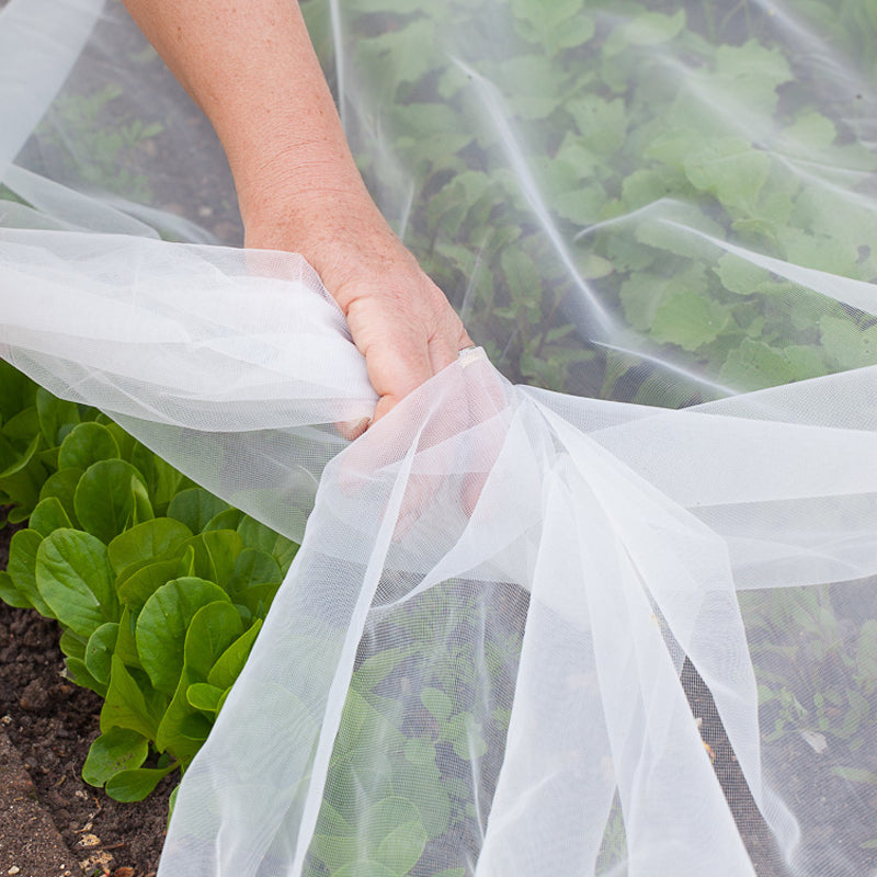 greenhouse insect net