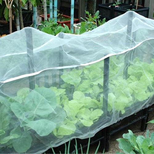 vegetable insect netting