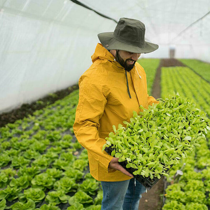 vegetable insect netting