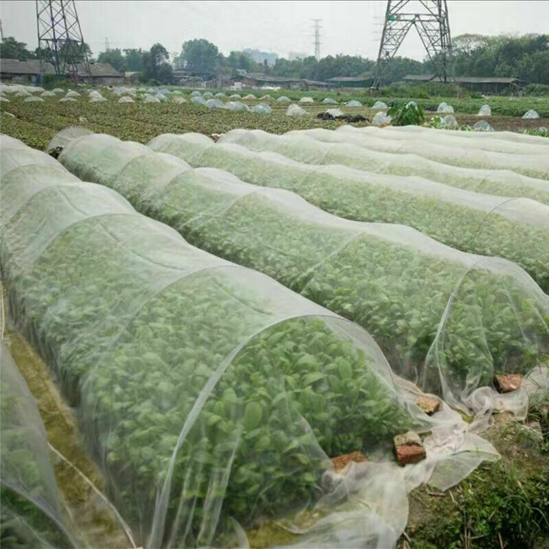 vegetable insect netting