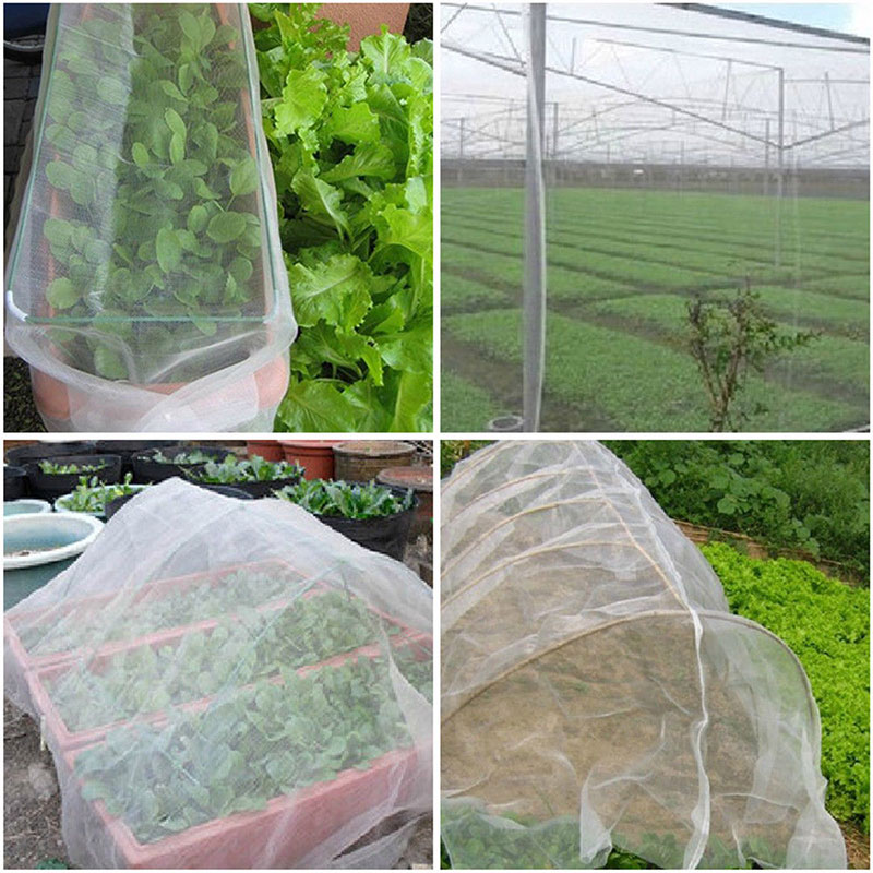 vegetable insect netting