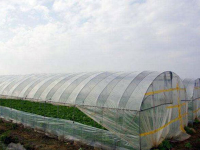 agricultural insect-net