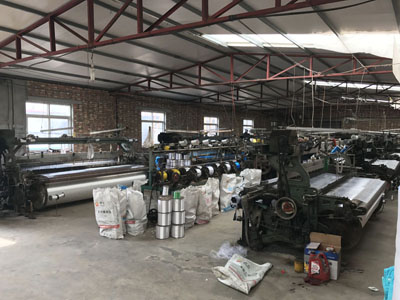 Insect net factory