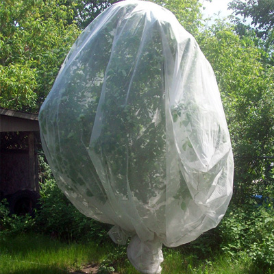 Tree mesh net bag