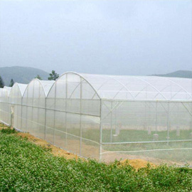 Aphid Net Insect Proof Mesh Greenhouse Shadow Anti-Insect Net 40