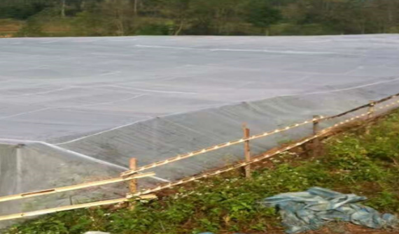 Raw materials and characteristics of insect control net