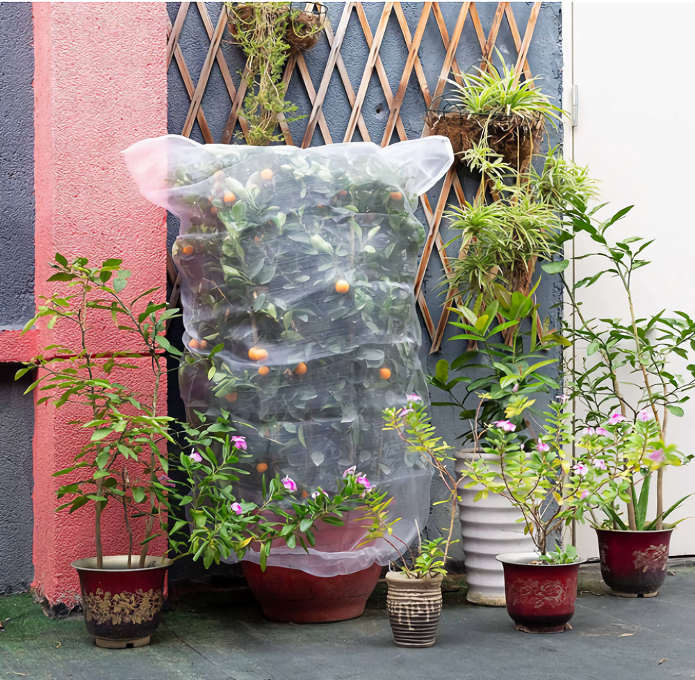 insect barrier net