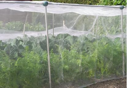 Insect net for agriculture