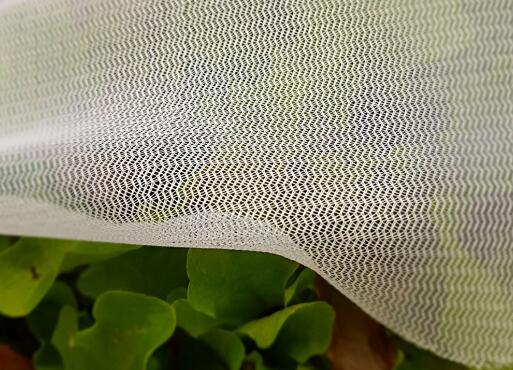 Plastic insect netting