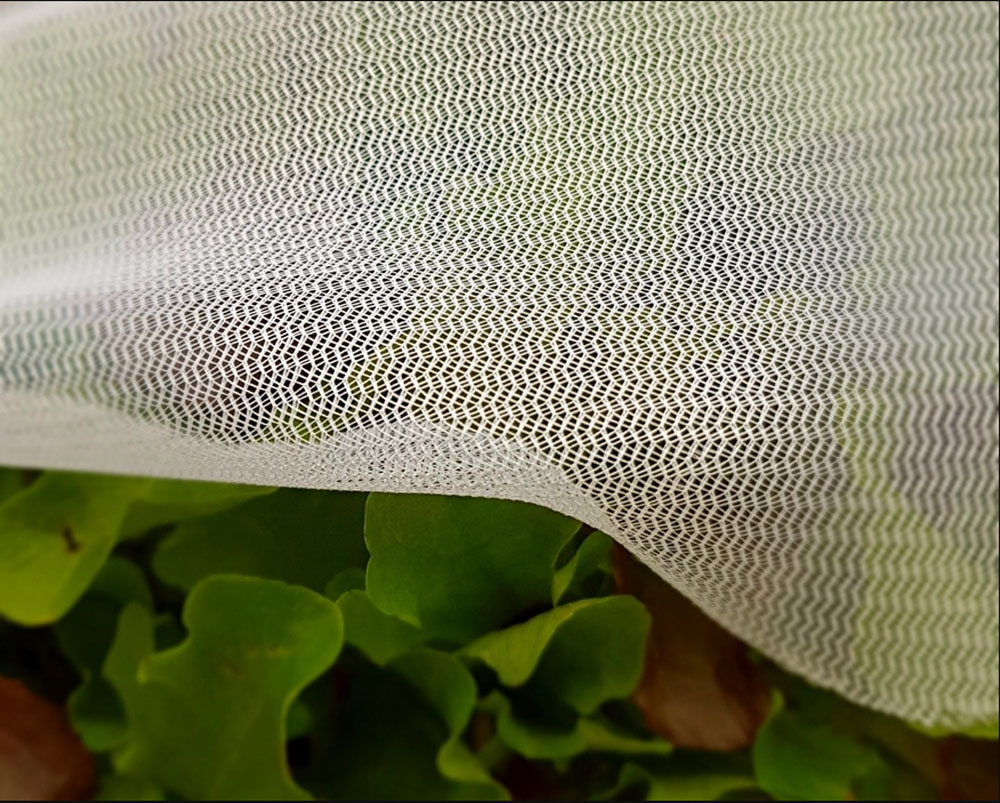 Plastic-Insect-Netting