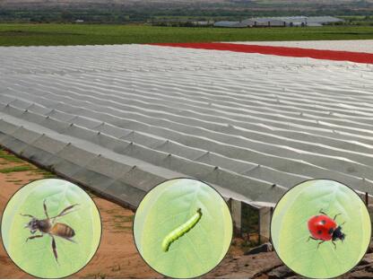 Insect nets in agriculture advantages