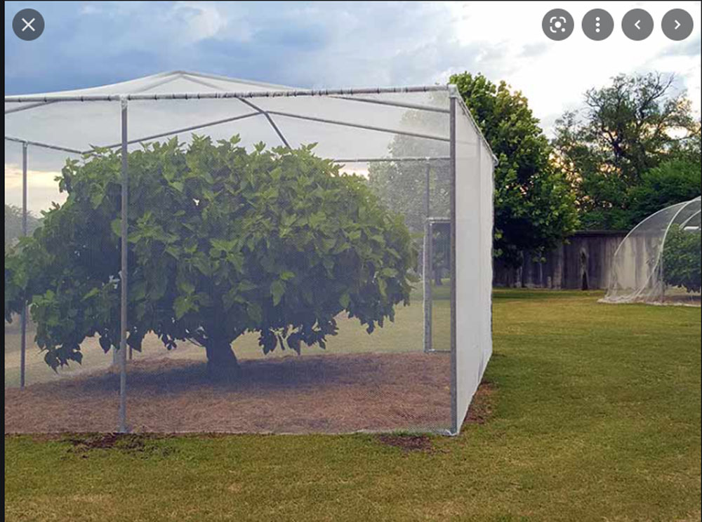 insect-proof-net