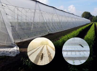 Anti Pollination Netting—Greenhouse Covering