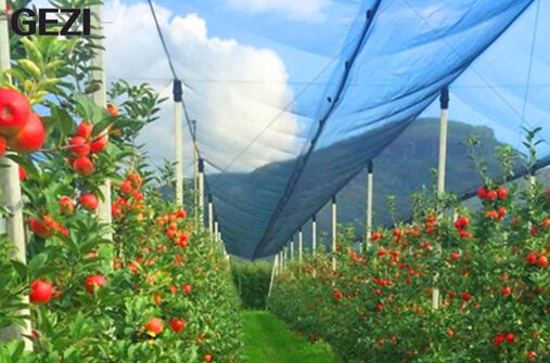 Use of insect netting
