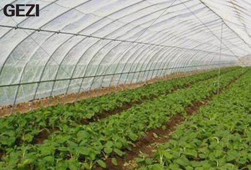Insect net for agriculture