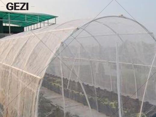 The covering cultivation technology of net for vegetables