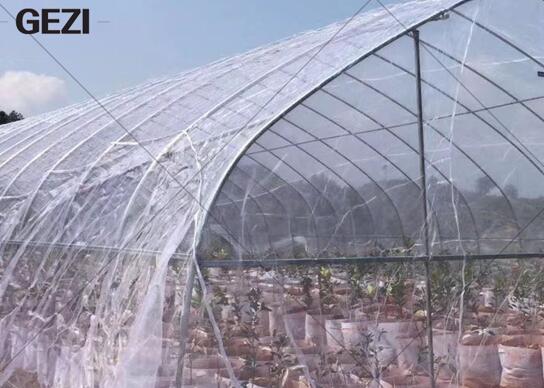 The function of greenhouse insect net