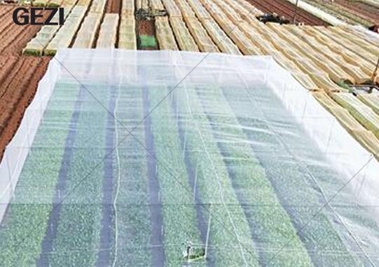 Installation requirements and position of insect netting