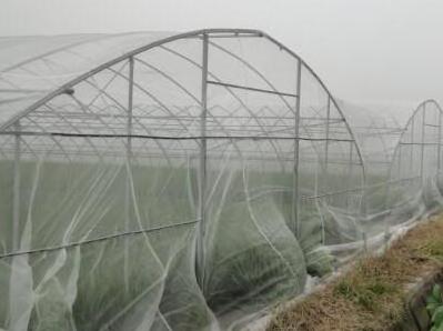 Brief introduction of plastic anti insect net and 40 mesh insect mesh net