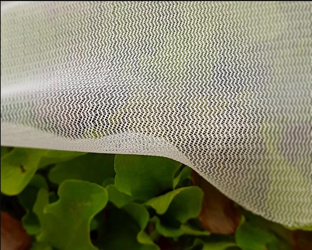 insect-netting