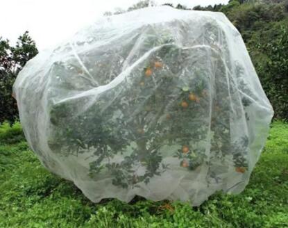 How are insect proof nets used on fruit trees