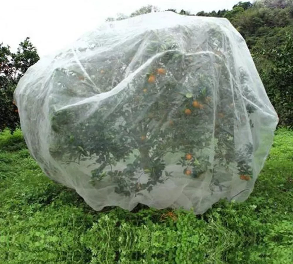 How are insect proof nets used on fruit trees