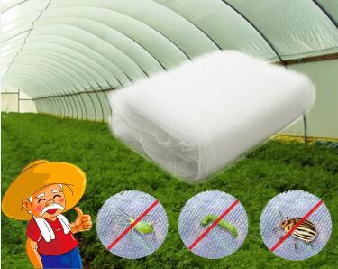 The use of agricultural insect nets