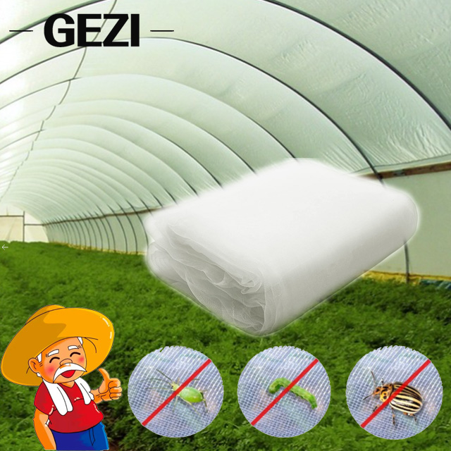 The use of agricultural insect nets