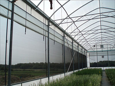 Insect / Pollen Netting and Screens