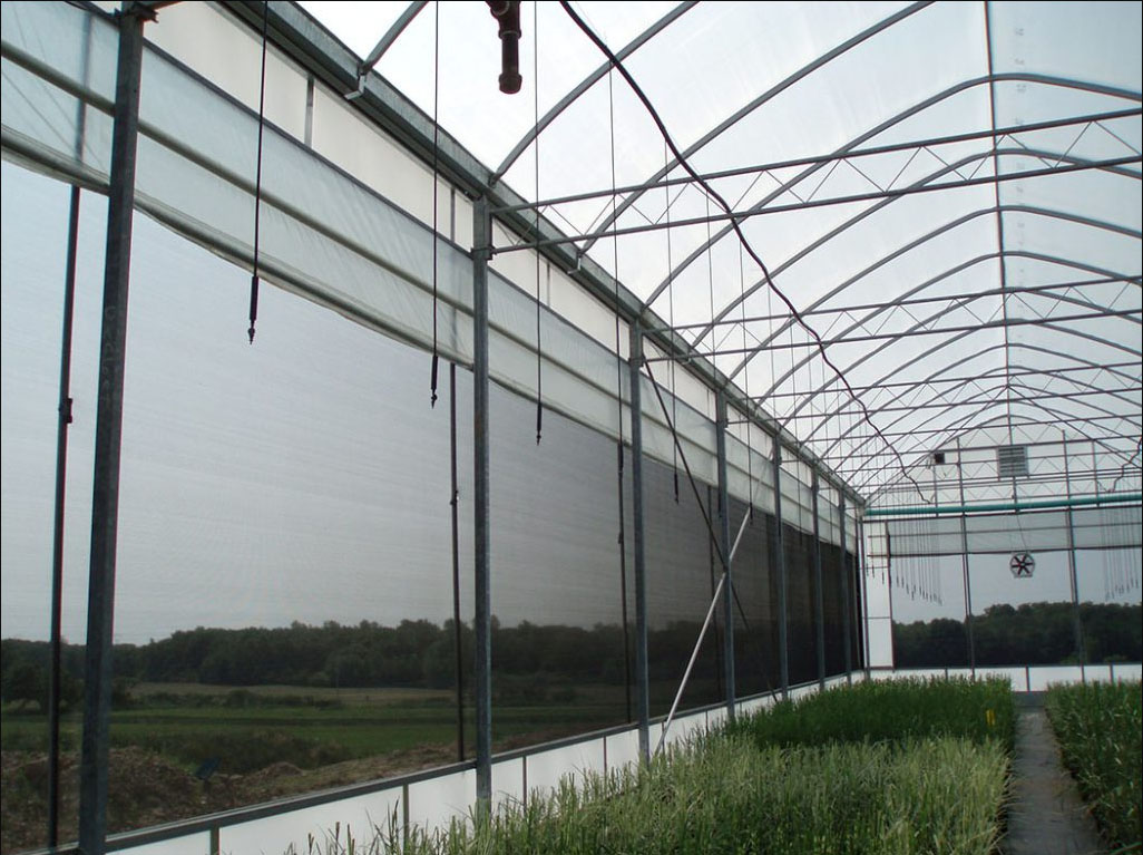 insect-barrier-net