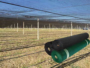 Shade Solutions and Crop Protection for UV and Heat Sensitive Plants