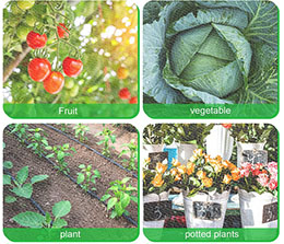 Types of anti-insect nets