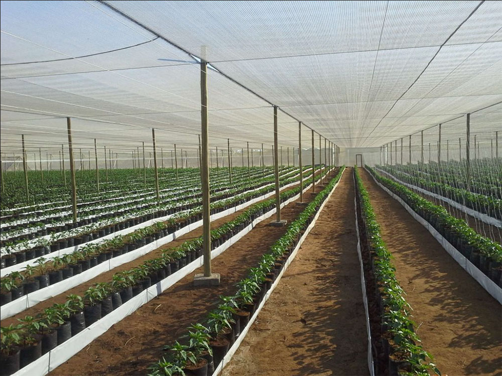 shade netting for greenhouse