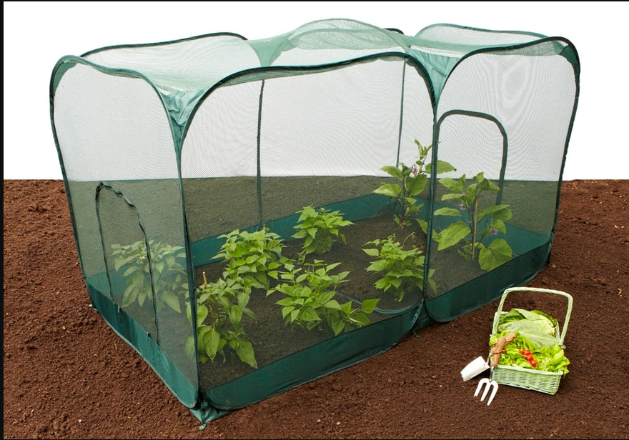 Pop-Up Double Fruit & Vegetable Netting Cage
