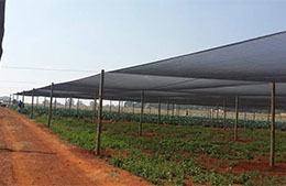 Agro & Garden Green Shade Net Manufacturers