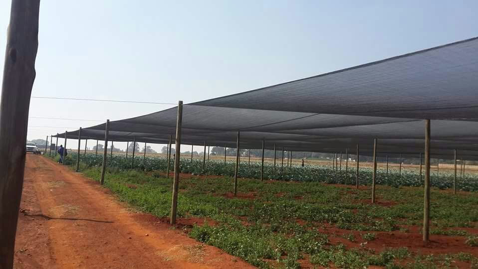 sun-shade-netting