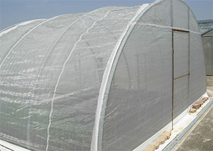 Polyethylene Nettings Applied in Greenhouse and Protective Shelter