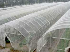 Advantage of insect control net