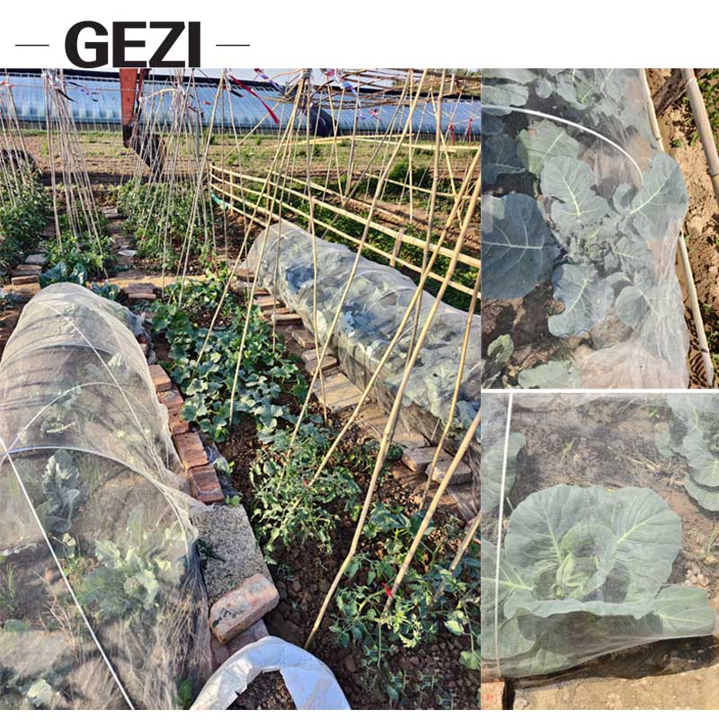 ​A little thought when growing vegetables