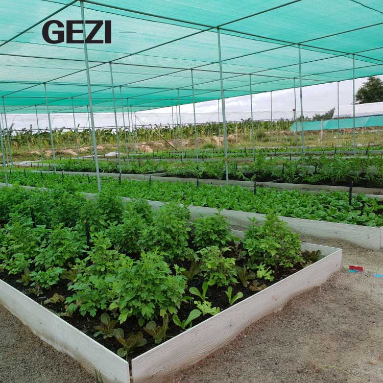 Is Shade Net Farming More Profitable Than Poly House Farming