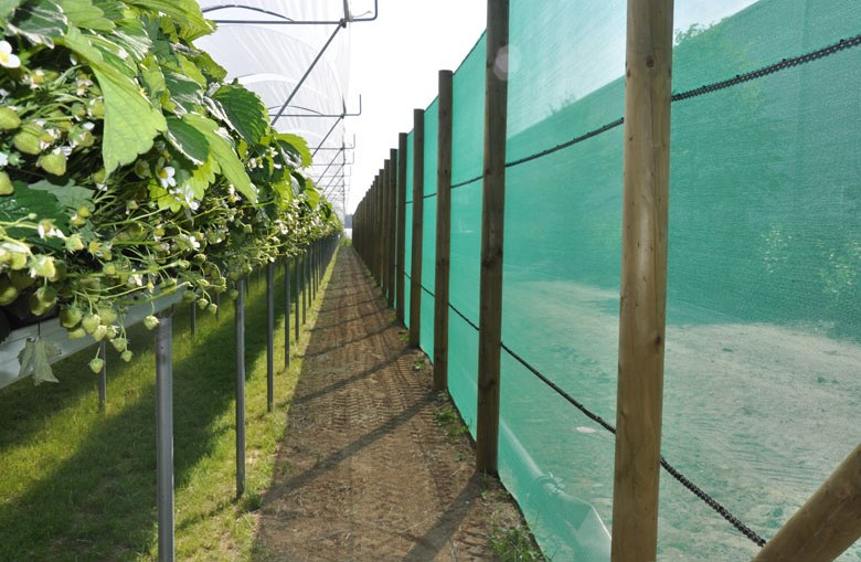 Windbreak net