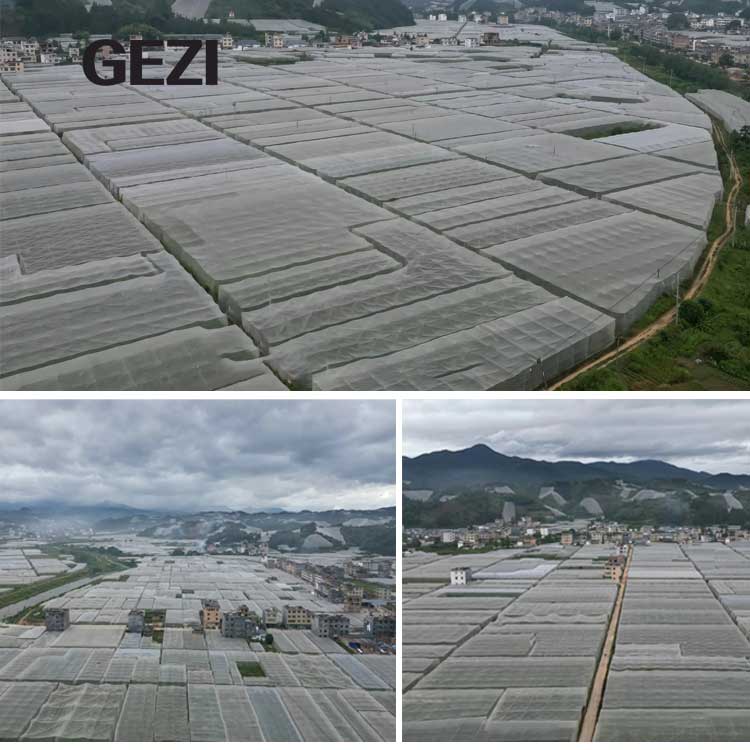 Insect proof Nets The Technology and Craftsmanship Behind Made in China Products