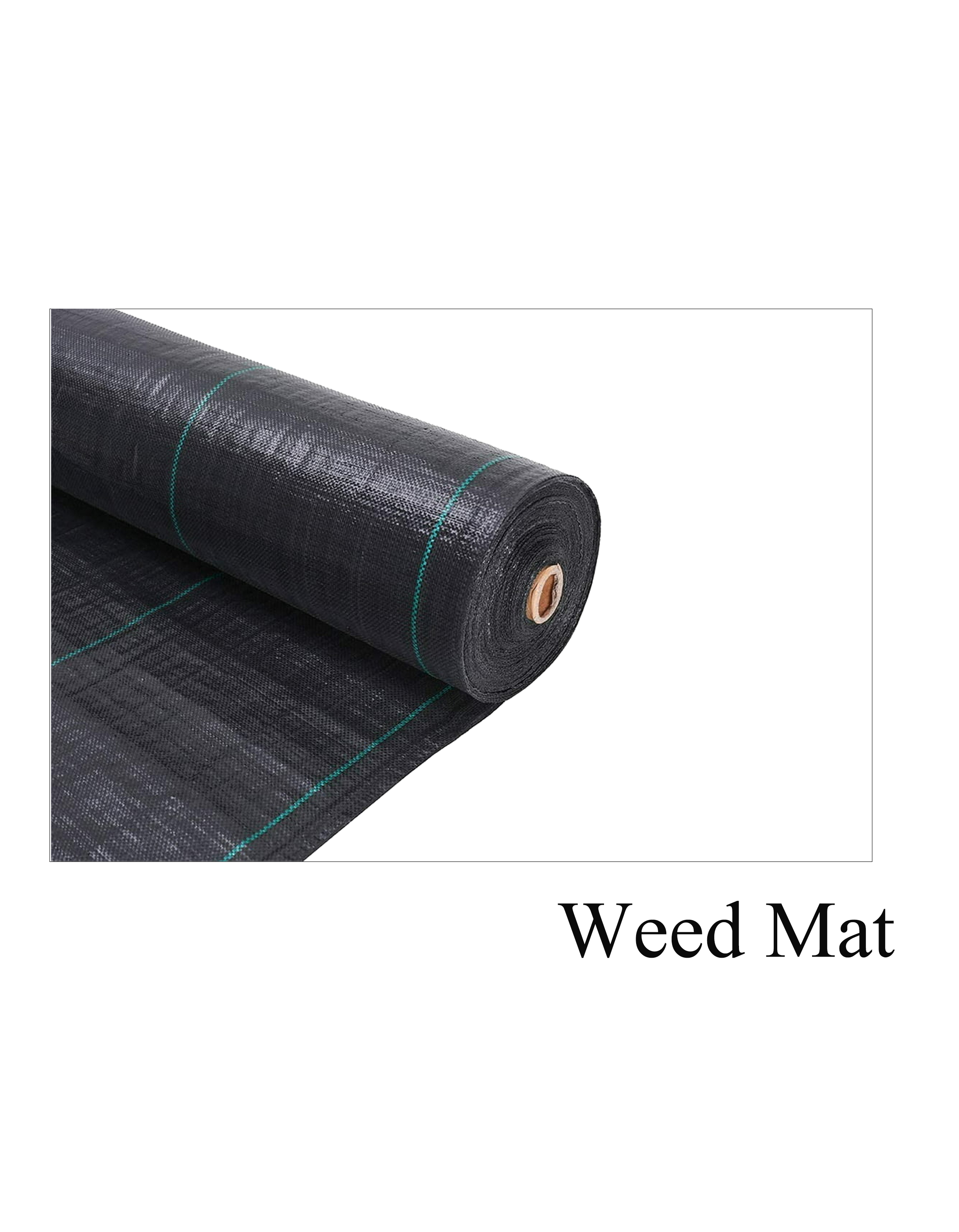 Introduction to Weed Net