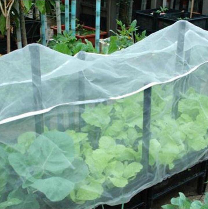 Insect proof net application