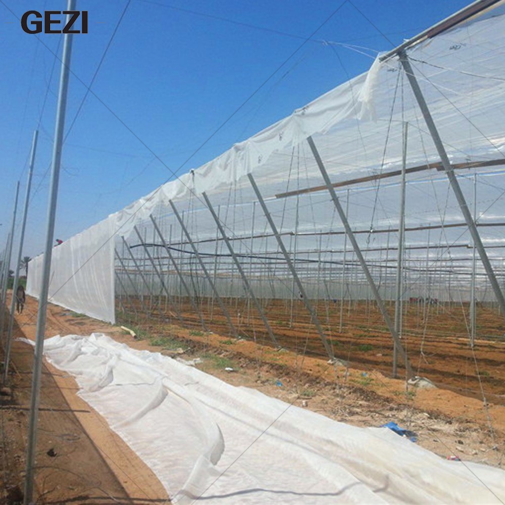 Insect net mesh