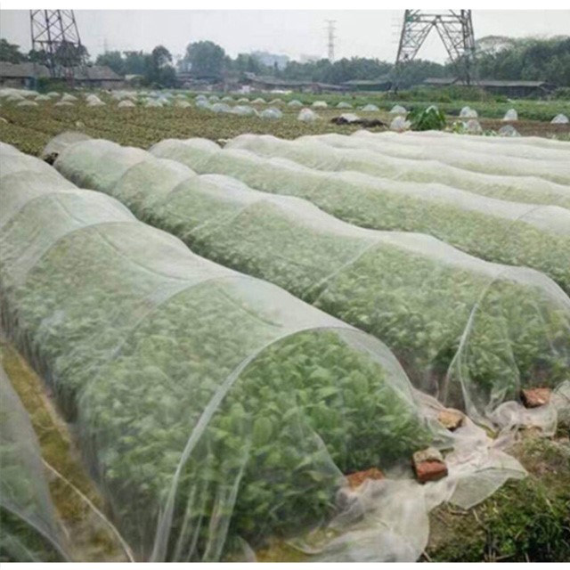  insect net mesh