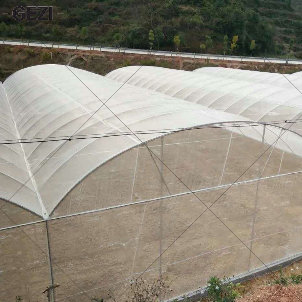 insect proof net