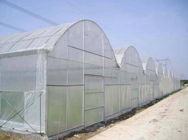 insect net  greenhous mesh