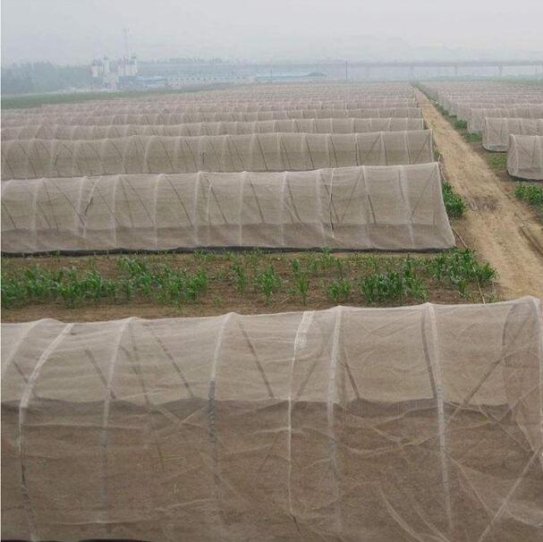 insect net  greenhous mesh